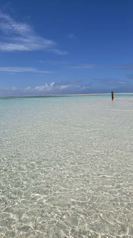 From Kendwa: Mnemba Boat Trip and Dolphin Snorkel Adventure - A four-hour morning on the water