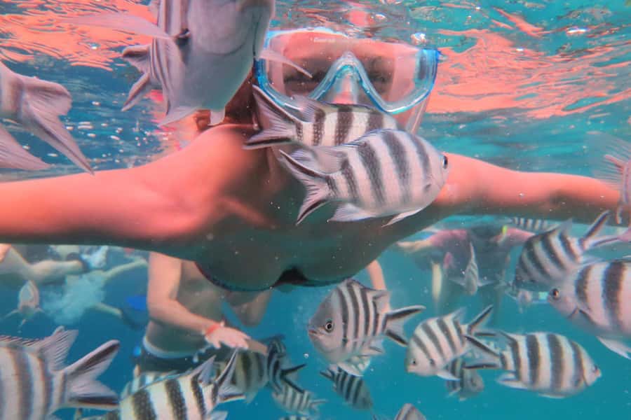 From Kendwa: Mnemba Boat Trip and Dolphin Snorkel Adventure - What the $50 price really covers