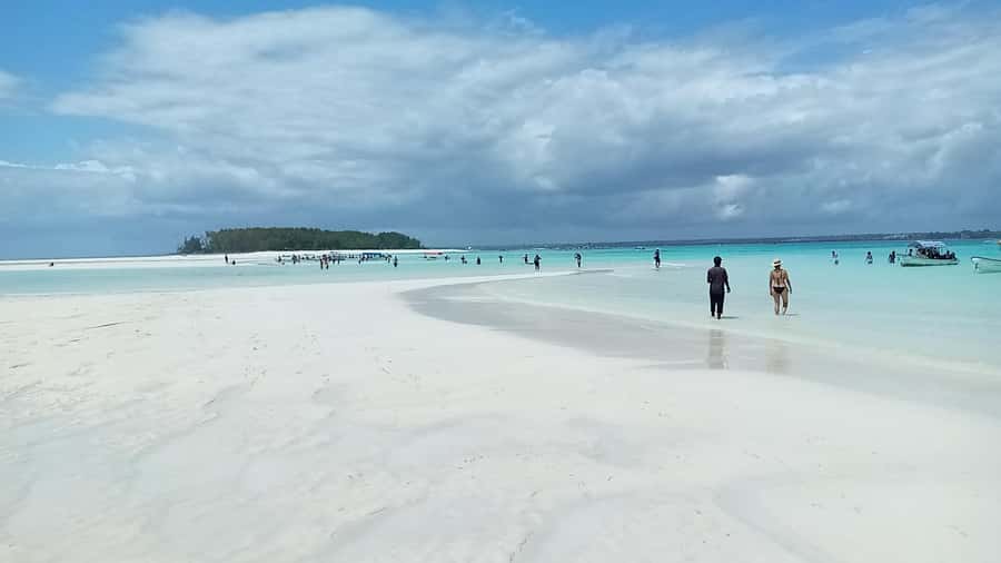 From Kendwa: Mnemba Boat Trip and Dolphin Snorkel Adventure - Booking, cancellation, and small practical details