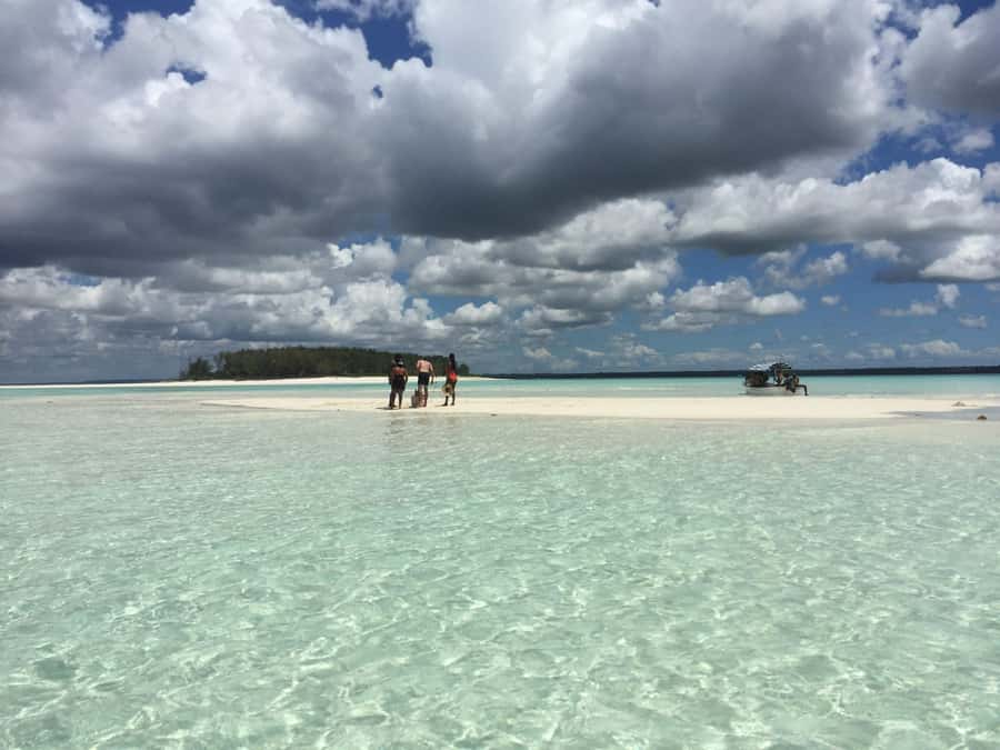 From Kendwa: Mnemba Boat Trip and Dolphin Snorkel Adventure - Should you book it?