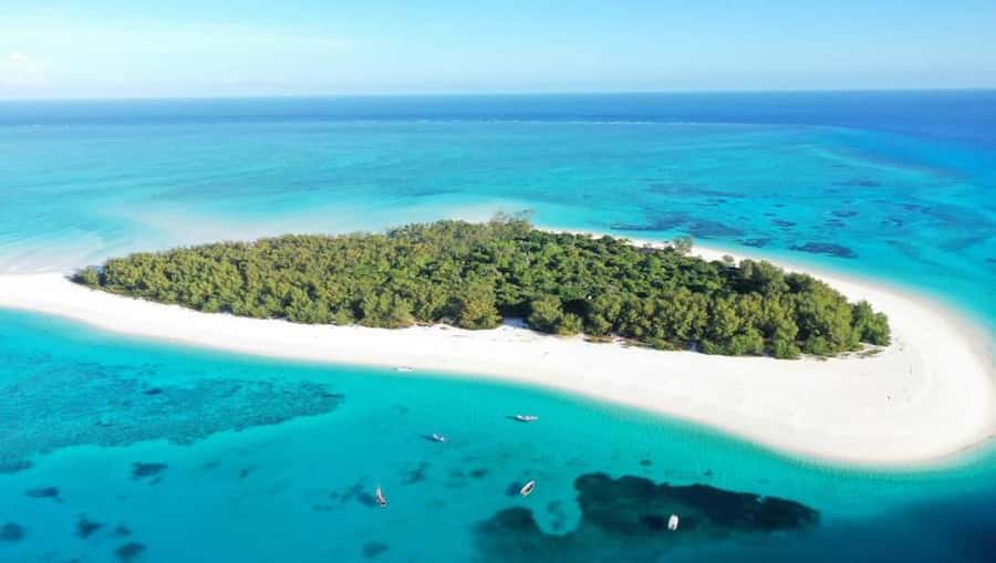 From Nungwi : Mnemba Boat Trip and Dolphin Snorkel Adventure - Key points to know before you book