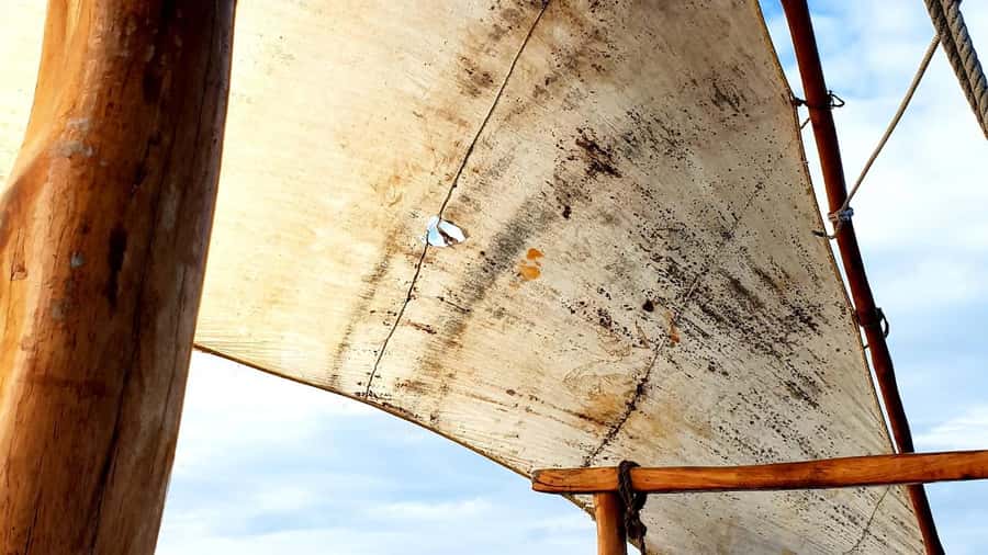From Nungwi : Mnemba Boat Trip and Dolphin Snorkel Adventure - What this Nungwi to Mnemba trip is really like