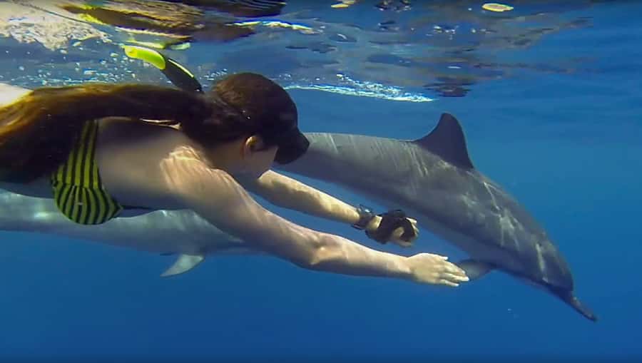From Nungwi : Mnemba Boat Trip and Dolphin Snorkel Adventure - Mnemba conservation area and the reef