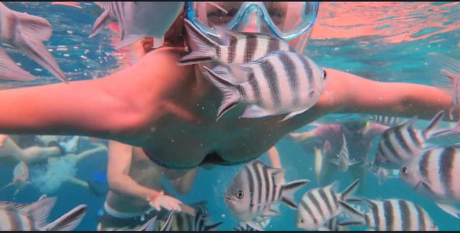 FROM NUNGWI; MNEMBA SNORKELING AND DOLPHIN TOUR - What the Nungwi to Mnemba trip is really like