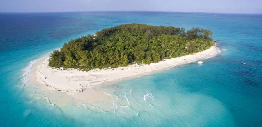 FROM NUNGWI; MNEMBA SNORKELING AND DOLPHIN TOUR - Fruit, sea views, and the shallow sandbank