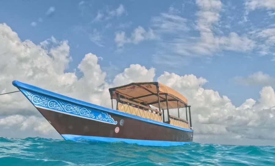 FROM NUNGWI; MNEMBA SNORKELING AND DOLPHIN TOUR - The return along Zanzibar’s coast