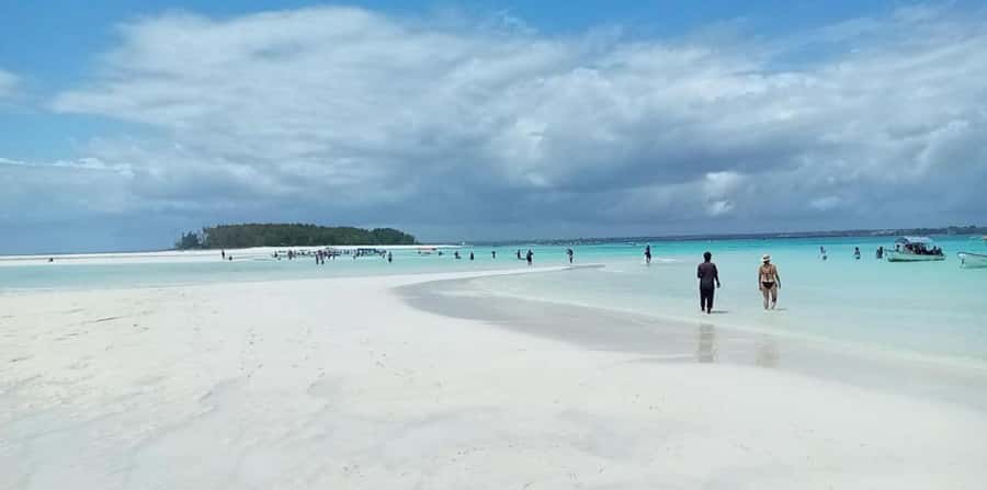 FROM NUNGWI; MNEMBA SNORKELING AND DOLPHIN TOUR - How the price works for you