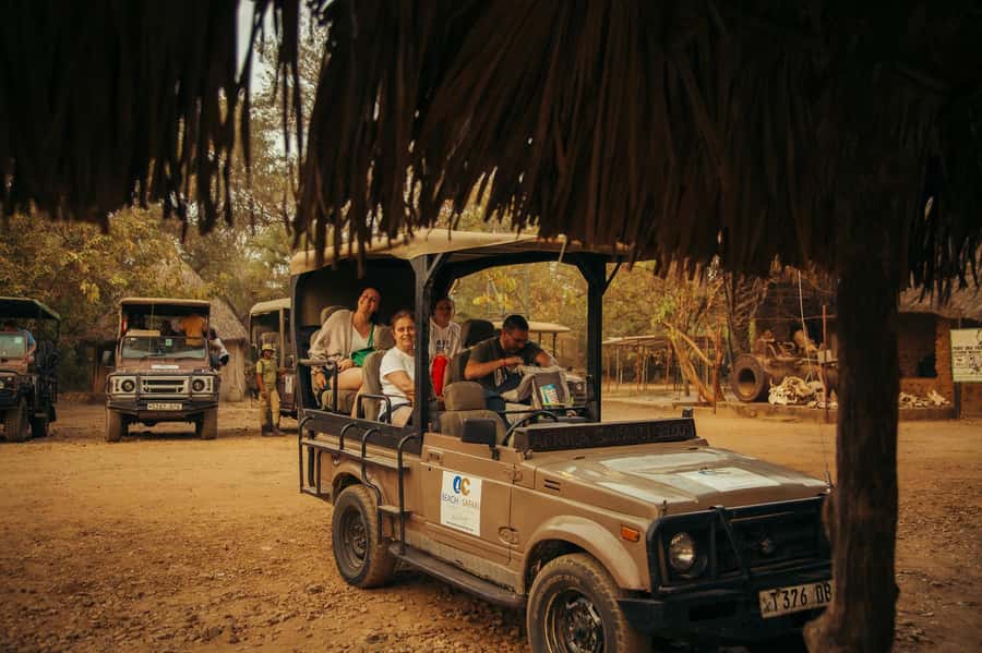 From Zanzibar: Day Selous Game Reserve Safari with Flights - From Zanzibar beaches to the Nyerere airstrip