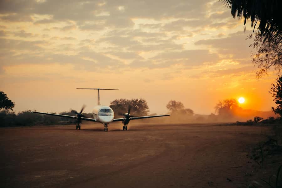 From Zanzibar: Day Selous Game Reserve Safari with Flights - The afternoon drive and return flight