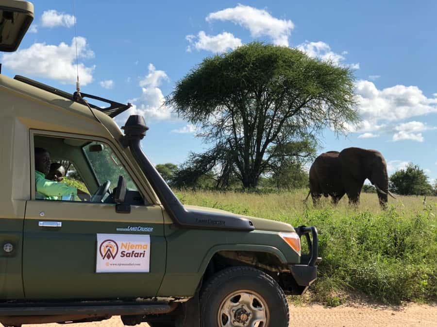 From Zanzibar: Mikumi National Park Guided Safari - Why Mikumi works as a Zanzibar day trip