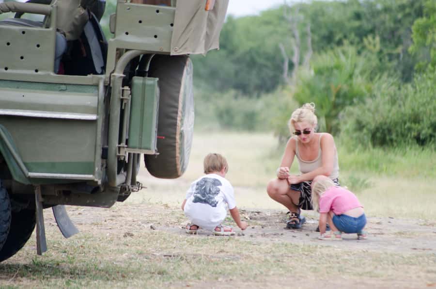 From Zanzibar: Mikumi National Park Guided Safari - The 12:30 bush lunch