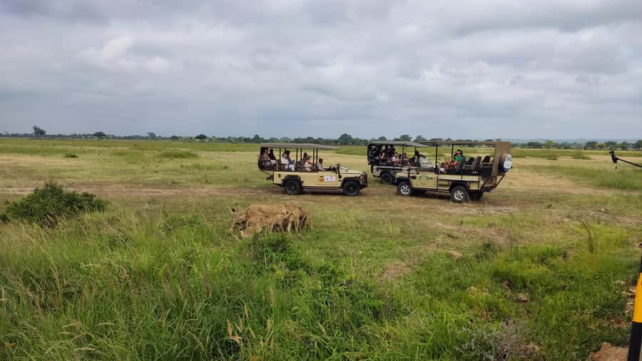 From Zanzibar: Mikumi National Park Guided Safari - Who will enjoy this safari most