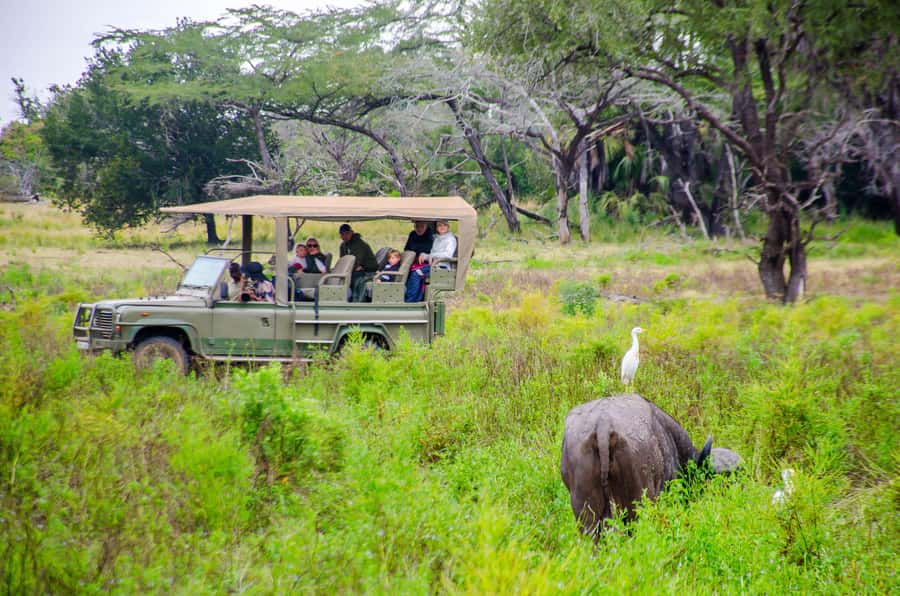 From Zanzibar: Mikumi National Park Guided Safari - Practical ways to improve your day