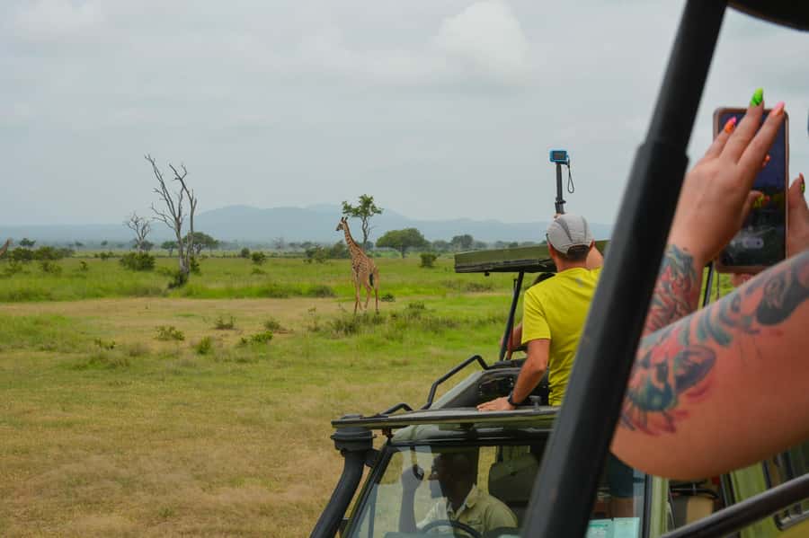 From Zanzibar: Mikumi National Park Guided Safari - Should you book the Mikumi day safari?