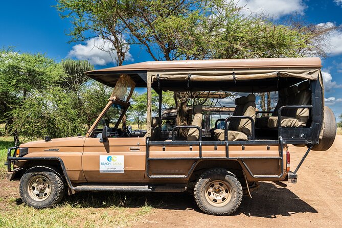 From Zanzibar: Mikumi Safari Day Trip with Flights and Meal - Afternoon drive and the flight back
