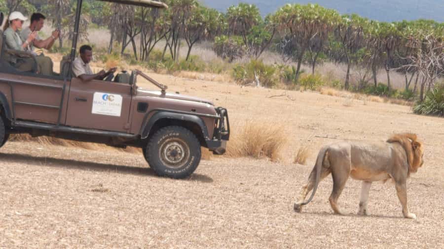 From Zanzibar: Mikumi Safari Day Trip with Flights and Meal - Who should book, and who should think twice