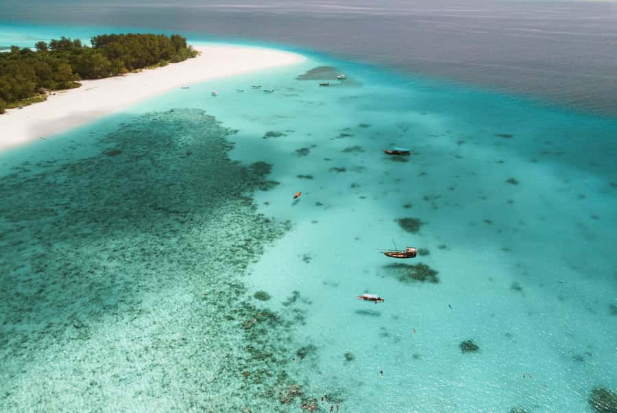 From Zanzibar: Mnemba Boat Tour with Snorkeling & Dolphine - Snorkeling around Mnemba Atoll