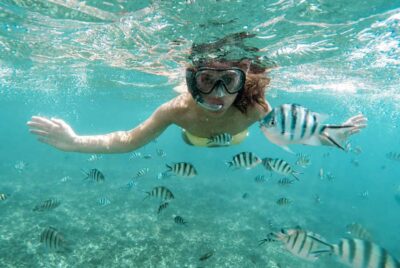 Mnemba Boat Tour with Snorkeling & Dolphine