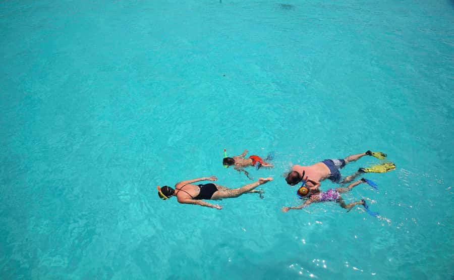 From Zanzibar: Mnemba Boat Tour with Snorkeling & Dolphine - Booking details that affect your choice
