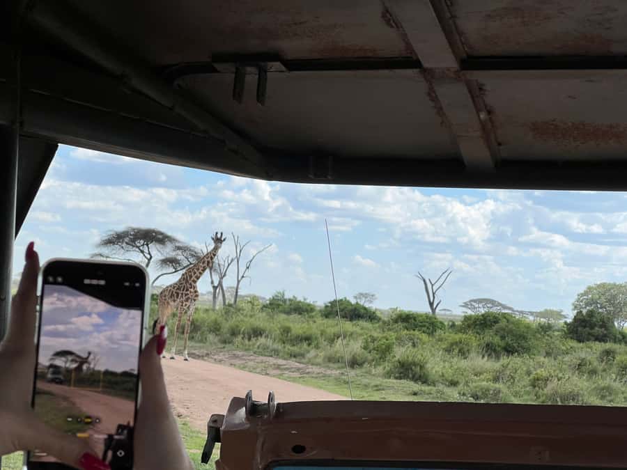 From Zanzibar: Nyerere National Park Game Drive with Lunch - Who should book this safari?