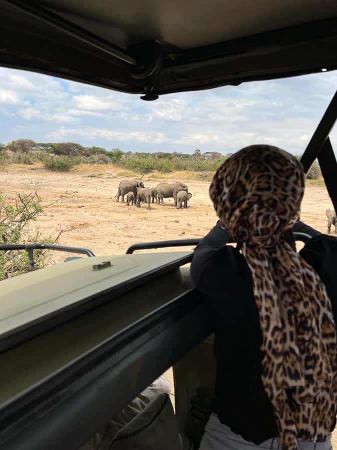 From Zanzibar: Nyerere National Park Game Drive with Lunch - Should you book the Nyerere day trip?