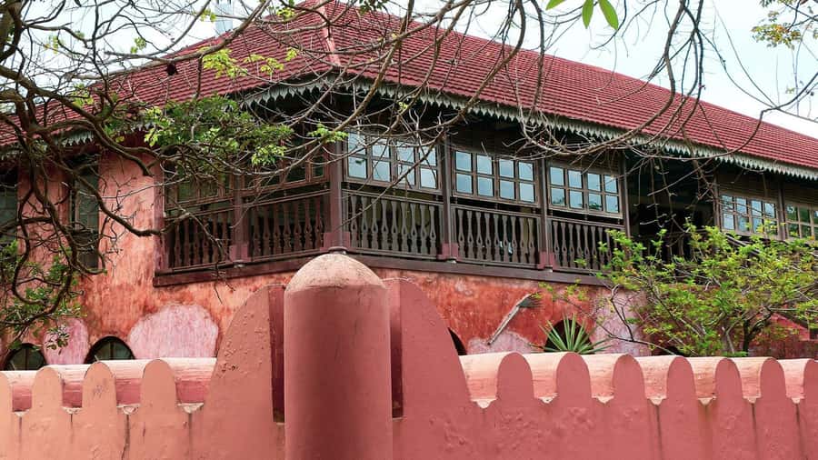 From Zanzibar: Prison Island With Nakupenda Tour - The best guide language for your group