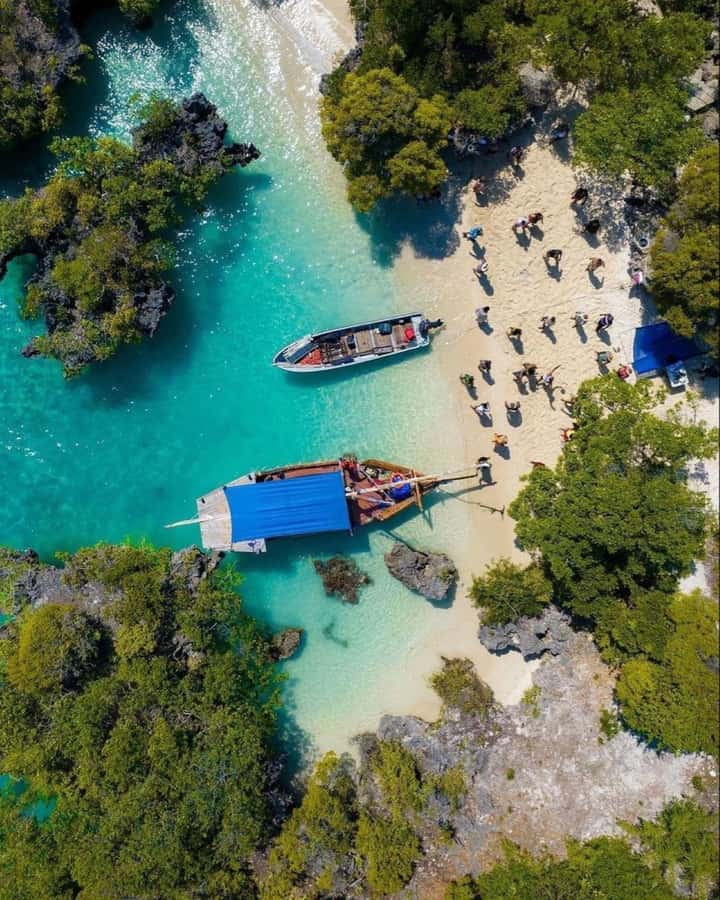 From Zanzibar: Safari Blue Snorkeling Trip with Lunch - Seafood lunch with a tropical setting