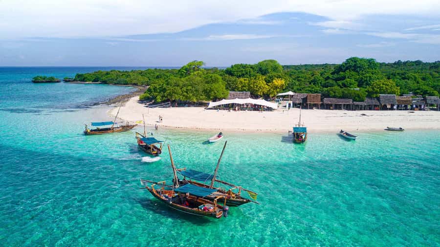 From Zanzibar: Safari Blue Snorkeling Trip with Lunch - Who should book this Zanzibar boat trip?