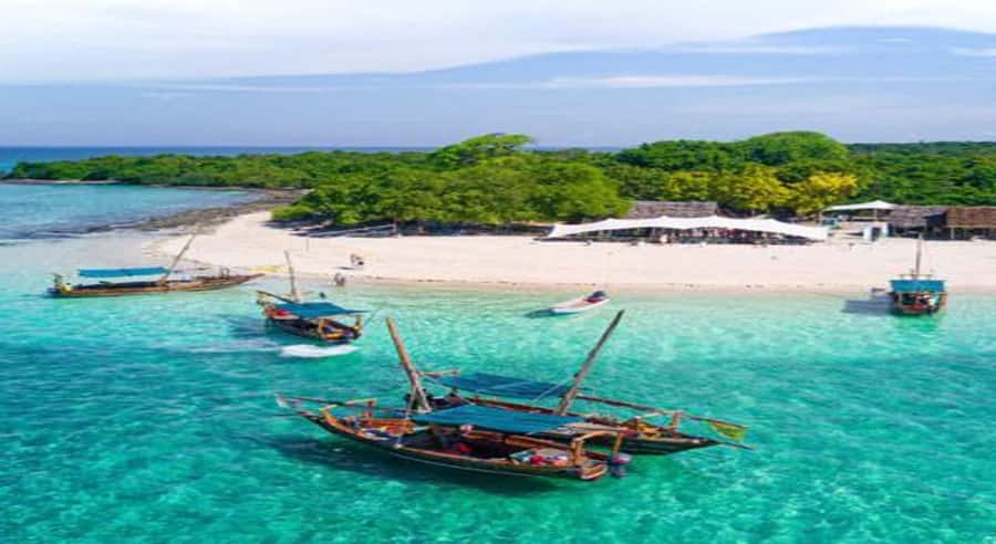 From Zanzibar: Safari Blue Snorkeling Trip with Lunch - From your Zanzibar hotel to Fumba village
