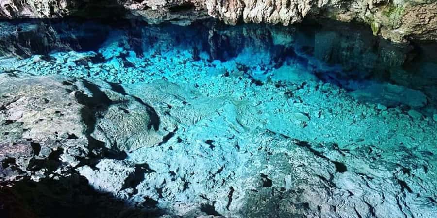 From Zanzibar: Starfish, Blue Lagoon, & The Rock Restaurant - Starfish Beach and the rule that protects the starfish