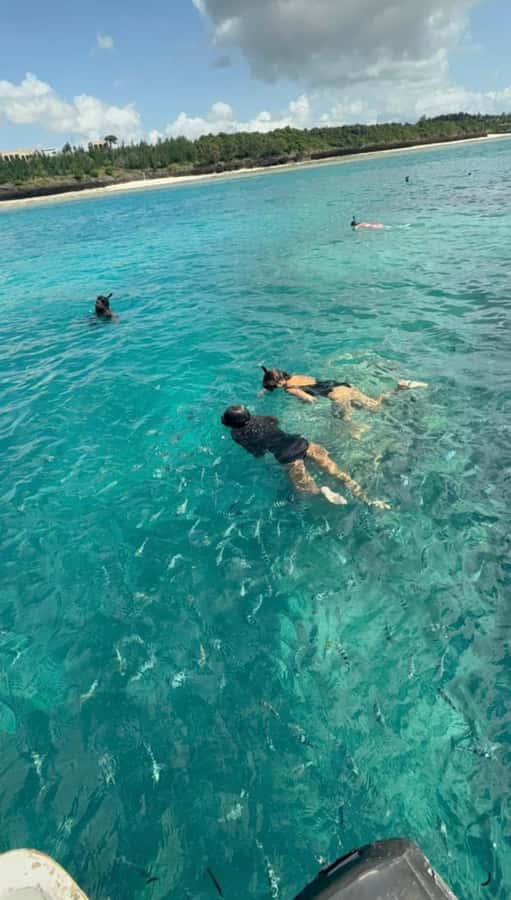 From Zanzibar: Starfish, Blue Lagoon, & The Rock Restaurant - The Rock Restaurant in Pingwe