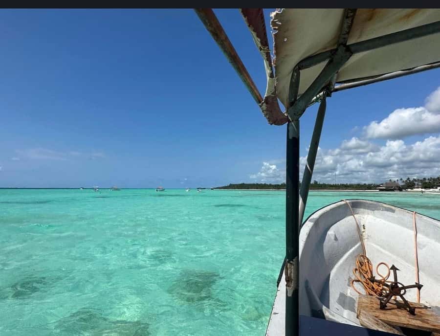 From Zanzibar: Starfish, Blue Lagoon, & The Rock Restaurant - Who will enjoy this outing most