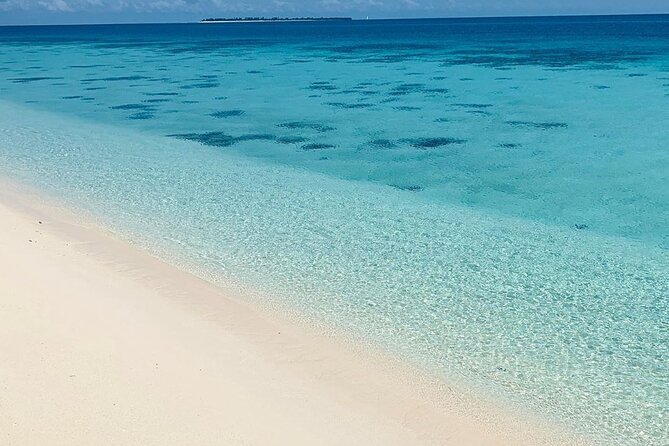 Full-day Prison Island and Nakupenda Sandbank with Lunch buffet - Stone Town sights from the road and harbor