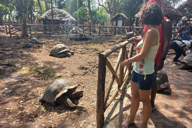 Full-day Prison Island, Nakupenda and Stone Town Tour with Lunch Buffet - How to make the day run better