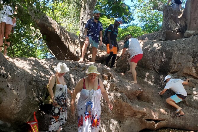 Full Day Private Safari Blue Sea Adventure in Zanzibar - The mangrove lagoon and natural swimming pool