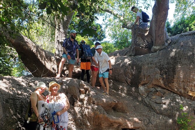 Full Day Private Safari Blue Sea Adventure in Zanzibar - Kwale Island, the old baobab, and lunch