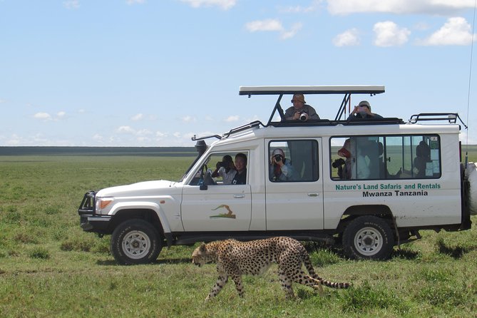 Full-Day Private Serengeti Safari from Mwanza - The morning schedule and the 6pm park exit