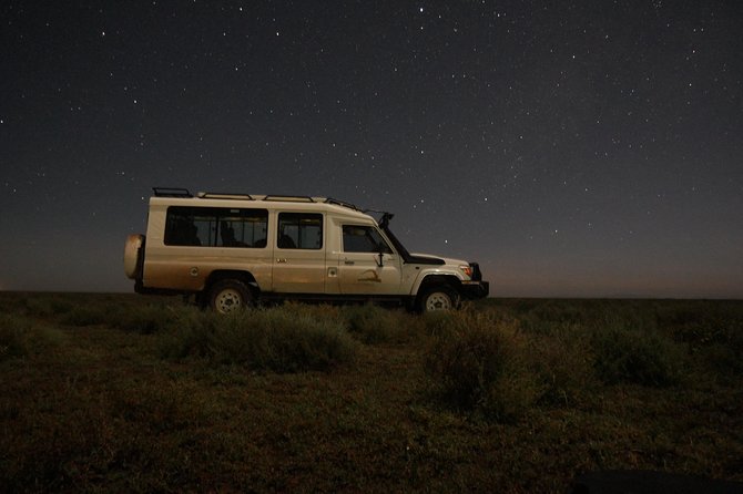Full-Day Private Serengeti Safari from Mwanza - Ten hours where the animals are