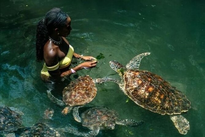 Full Day Private Zanzibar Tour with Sunset Beach - Key points to know before booking