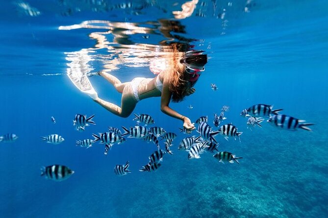 Full Day Private Zanzibar Tour with Sunset Beach - Booking details worth checking first