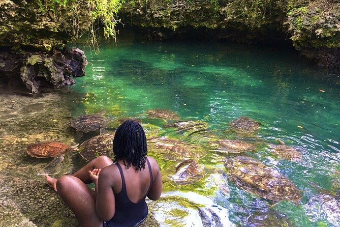 Full Day Private Zanzibar Tour with Sunset Beach - Mnemba Island: the day’s best water time
