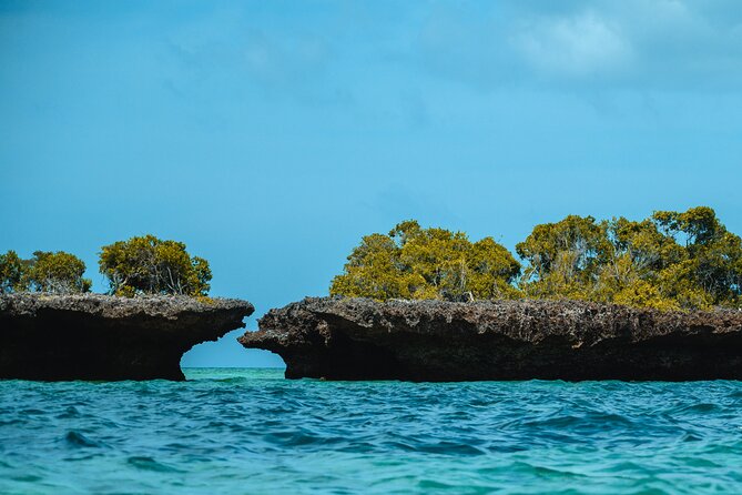 Full Day Safari Blue Zanzibar - Snorkeling near the mangrove island