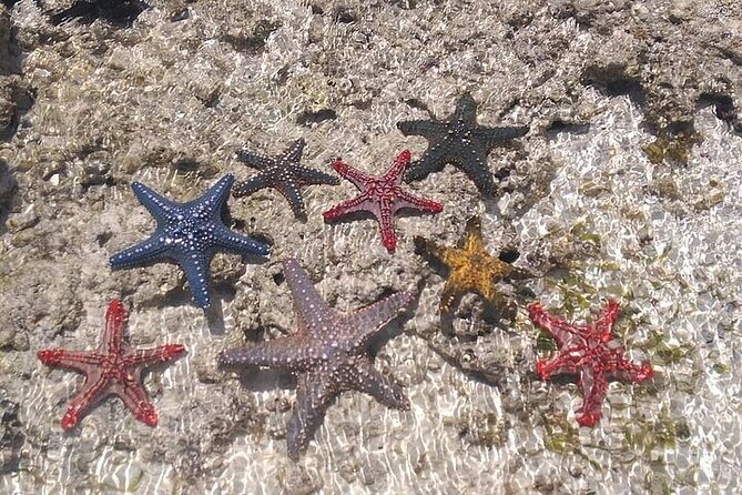 Fullday trip to Pungume and Uzi Island for Snorkeling and more - The Mnemba name and the actual route
