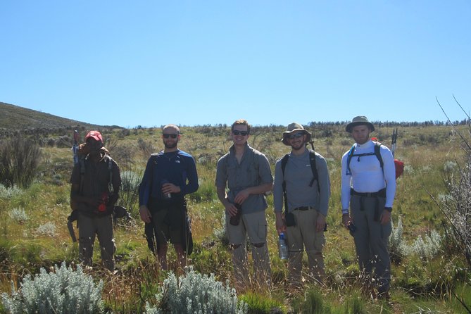 godsonadventures-plains2peaks Ltd - Tarangire: six hours with elephants and baobabs
