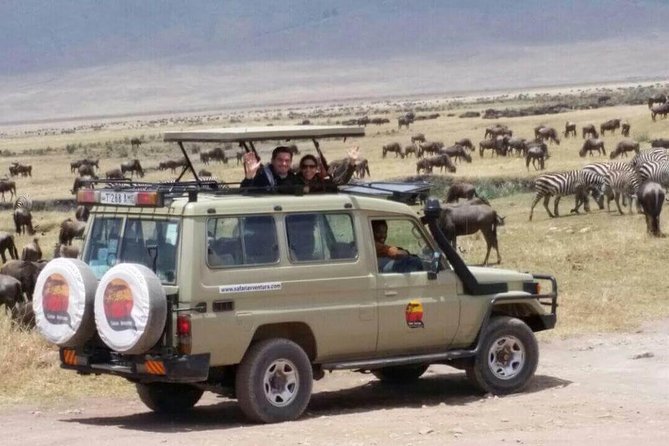 Group Safari 7 Days in Tanzania's Main Parks - Day 3: Ngorongoro Crater in six focused hours