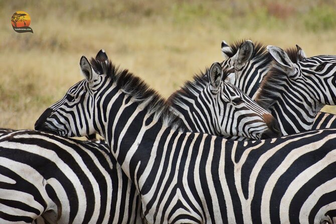 Group Safari 7 Days in Tanzania's Main Parks - What $3,000 covers, and what it does not