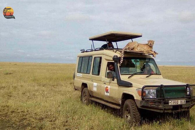 Group Safari 7 Days in Tanzania's Main Parks - Day 2: Lake Manyara’s compact wildlife country