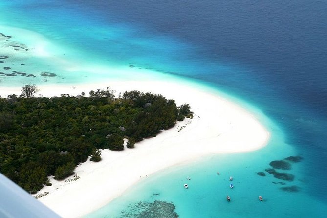 Half-Day Dolphin & Snorkeling Tour in Mnemba Island Zanzibar - Key things to know before you go
