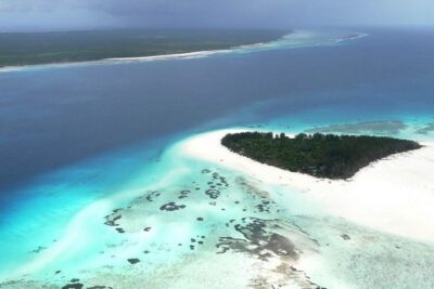 Half-Day Dolphin & Snorkeling Tour in Mnemba Island Zanzibar