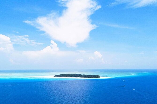 Half-Day Dolphin & Snorkeling Tour in Mnemba Island Zanzibar - What the three-hour schedule feels like